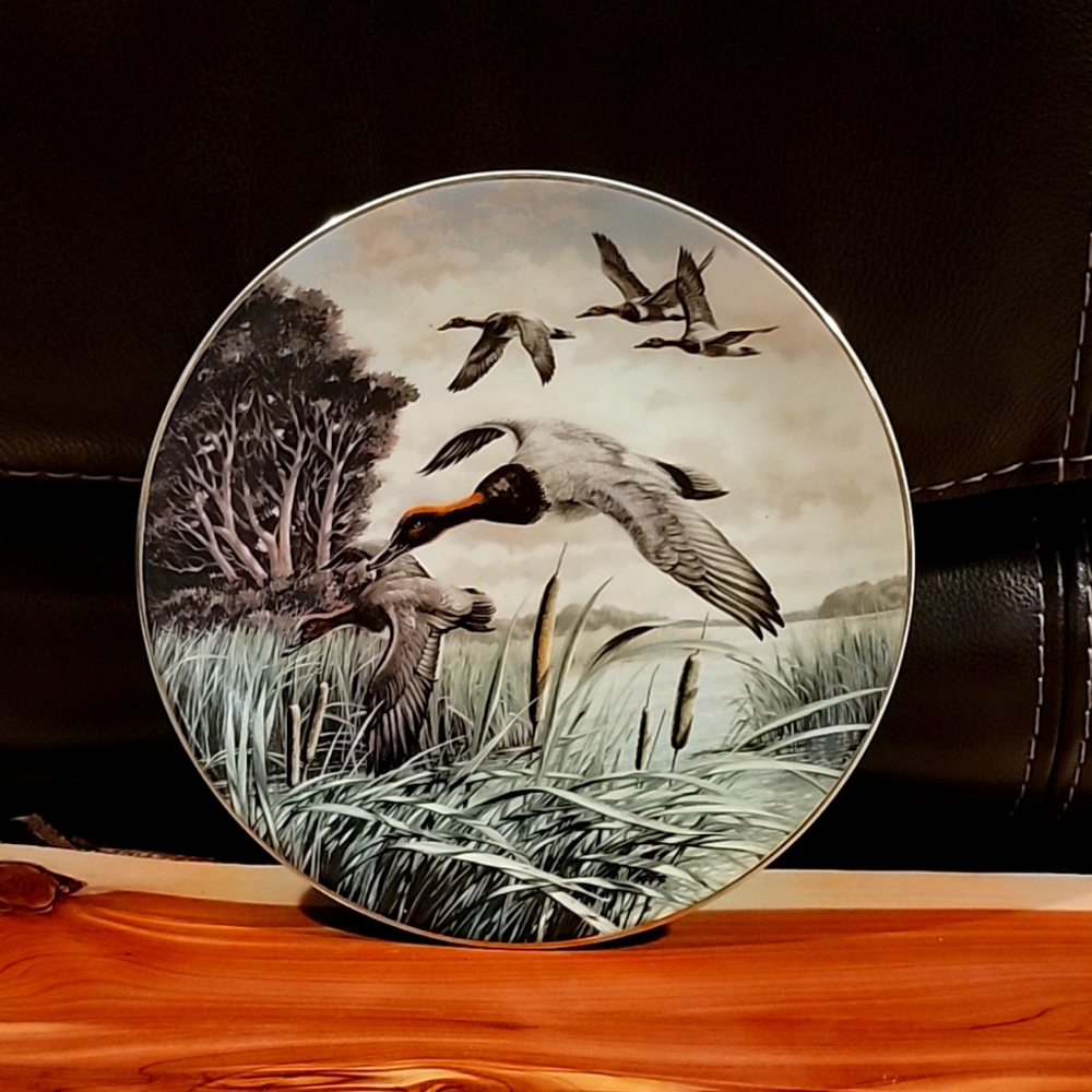 Kim Michaelsen Canvasbacks in March
